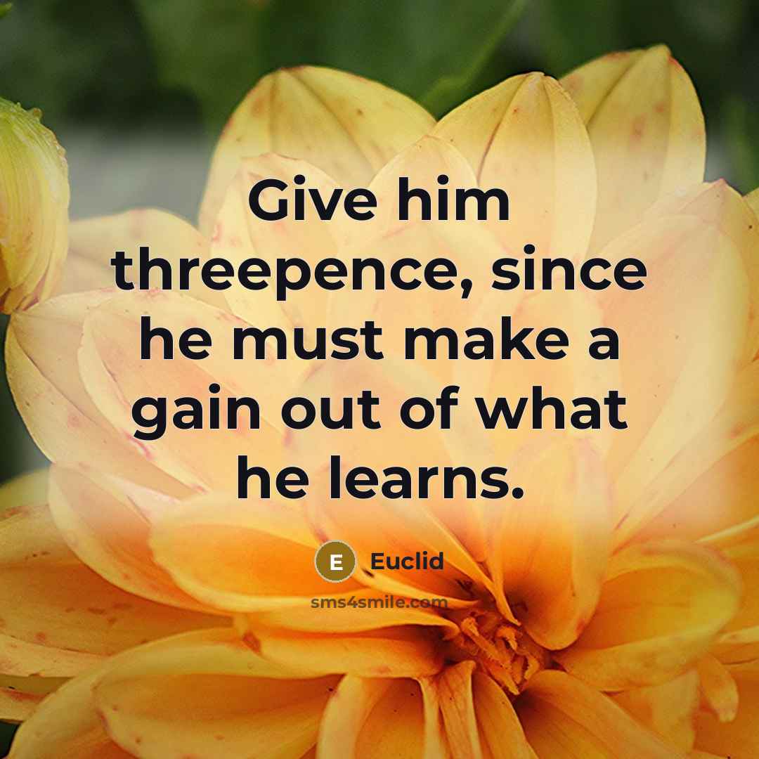 “Give him threepence, since he must make a gain out of what he learns.” quote by Euclid