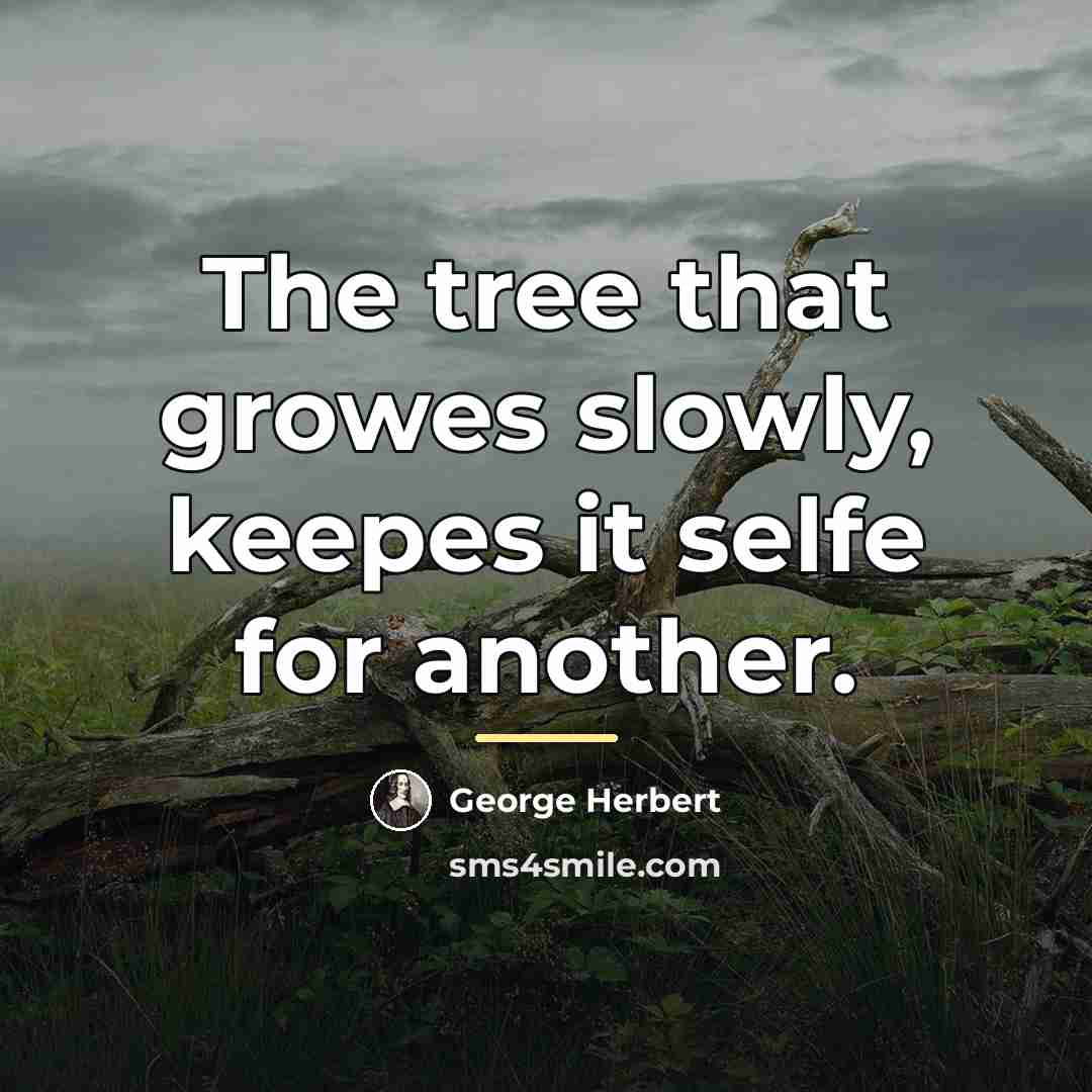 “The tree that growes slowly, keepes it selfe for another.…” quote by George Herbert