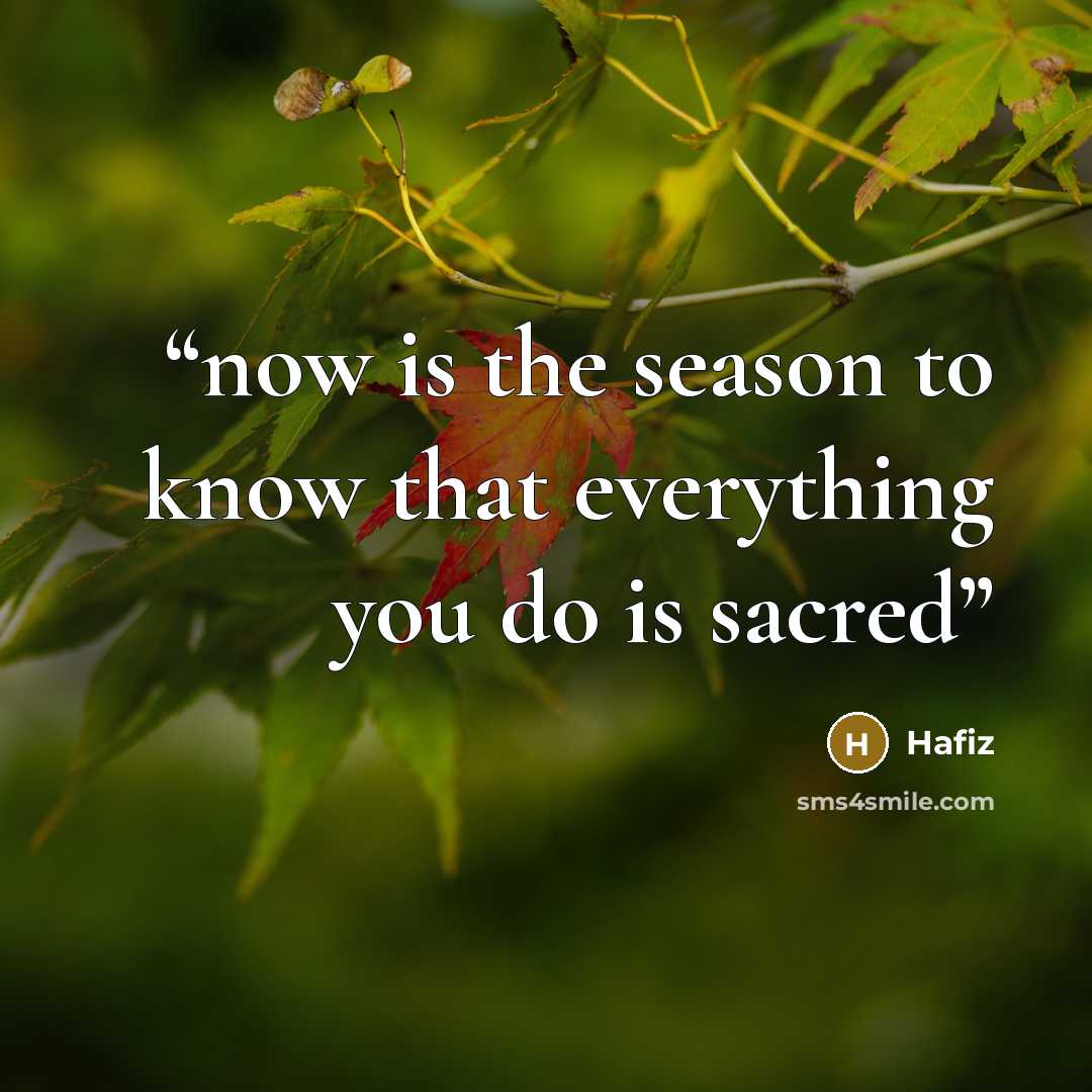 “now is the season to know that everything you do is sacred” quote by hafiz