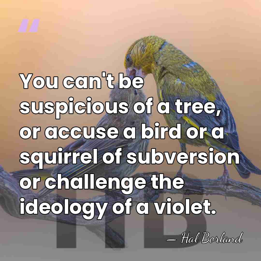 You can't be suspicious of a tree, or accuse a bird or&hellip; - Hal Borland