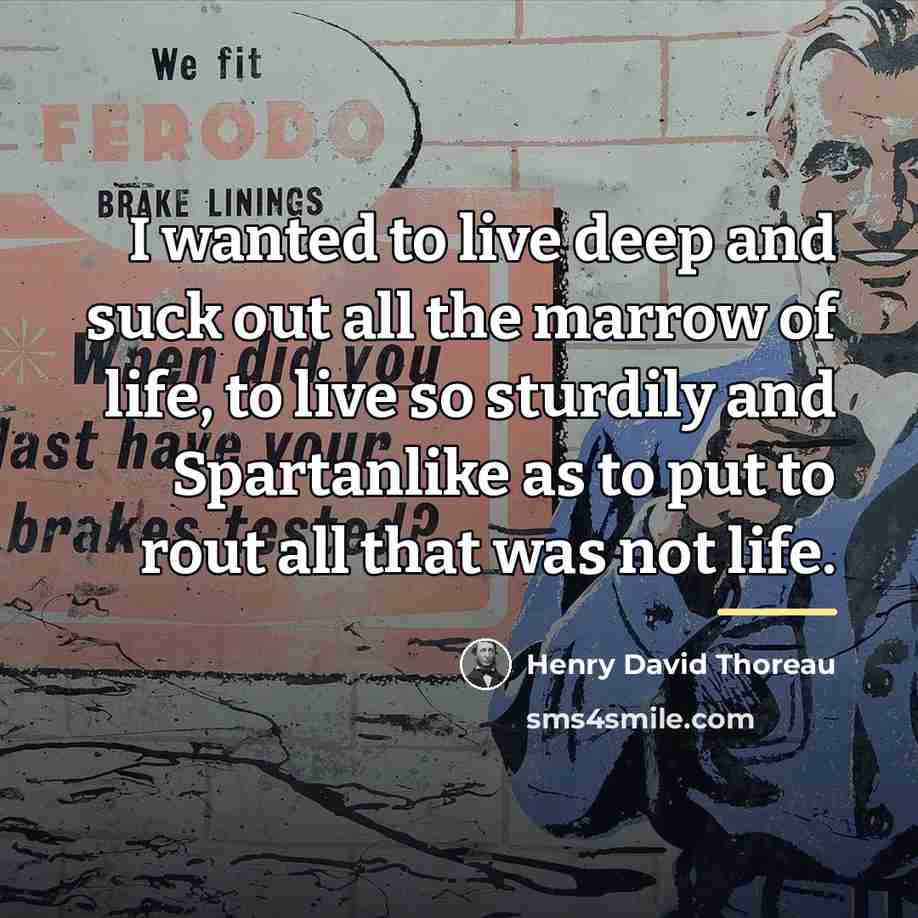 “I wanted to live deep and suck out all the…” quote by Henry David Thoreau