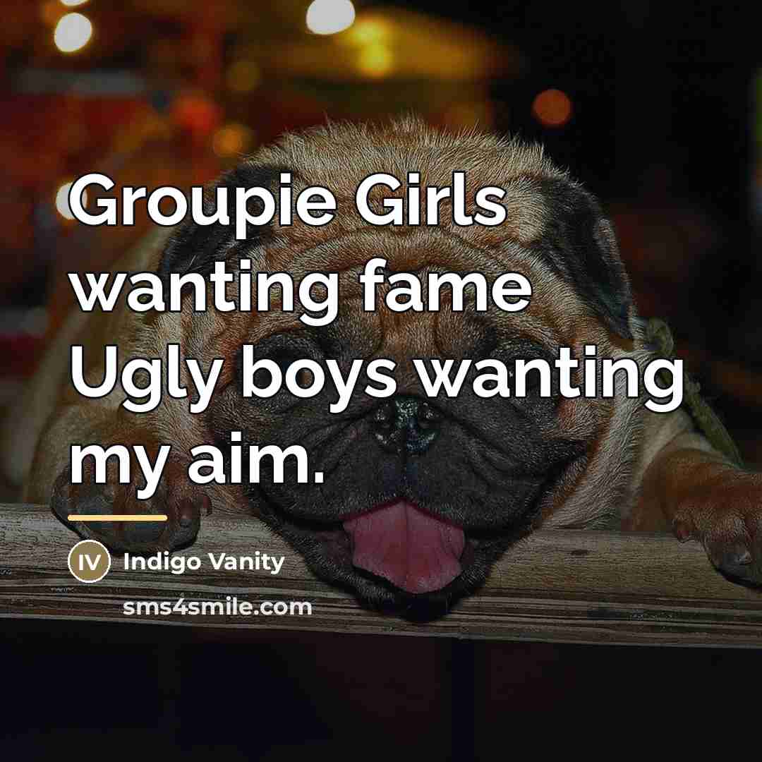 “Groupie Girls wanting fame Ugly boys wanting my aim.…” quote by Indigo Vanity