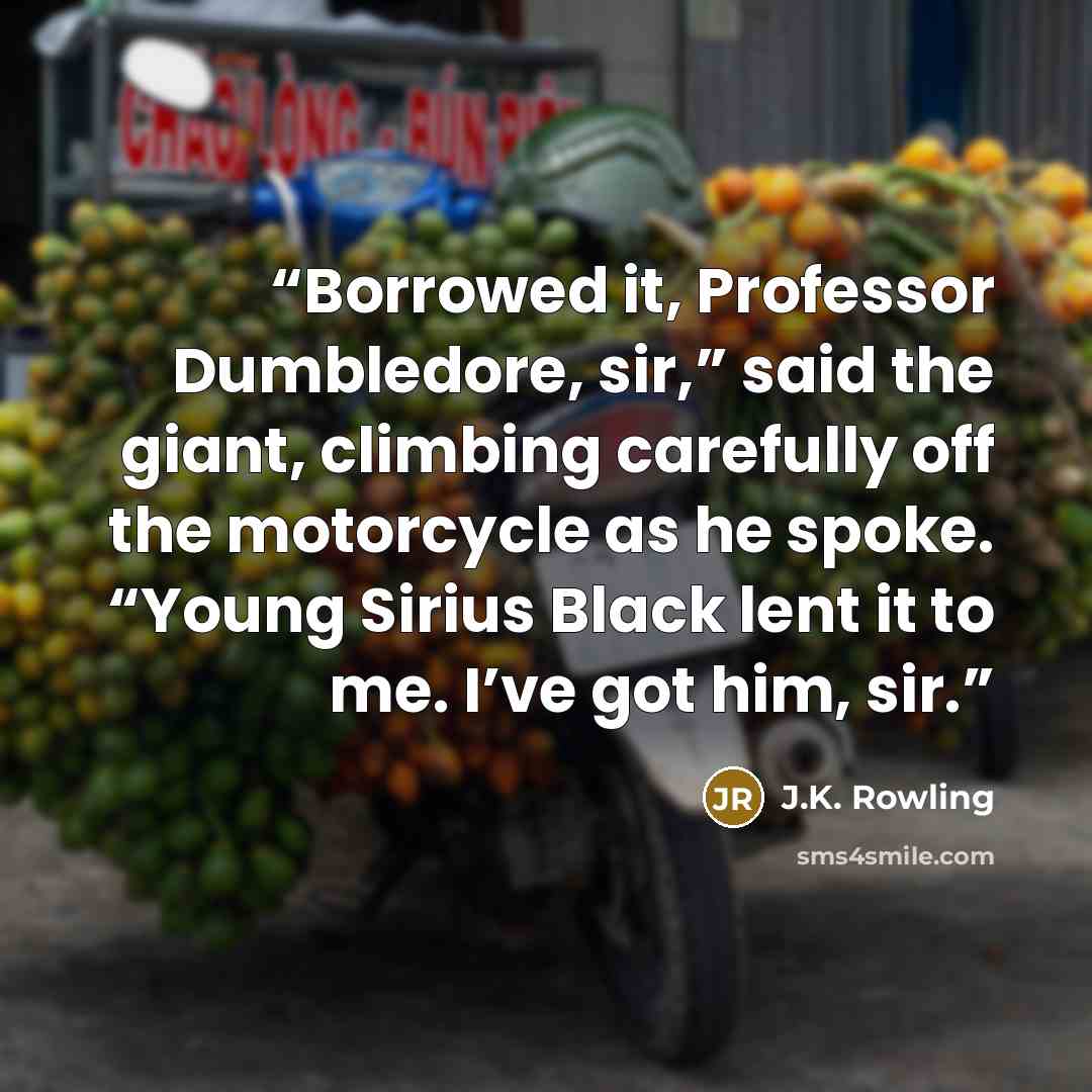“Borrowed it, Professor Dumbledore, sir,” said the giant, climbing carefully off the motorcycle as he spoke. “Young Sirius Black lent it to me. I’ve got him, sir.” quote by J.K. Rowling