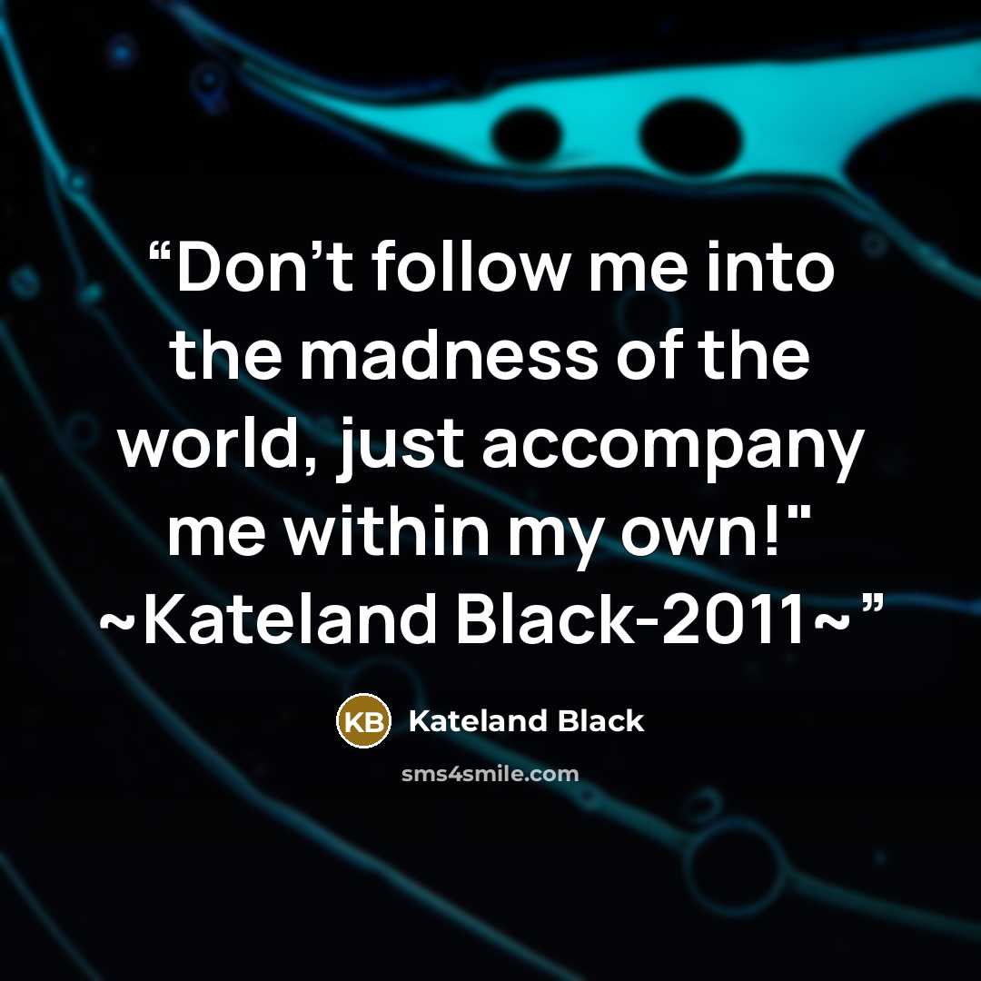 “Don't follow me into the madness of the world, just accompany me within my own!" ~Kateland Black-2011~” quote by Kateland Black
