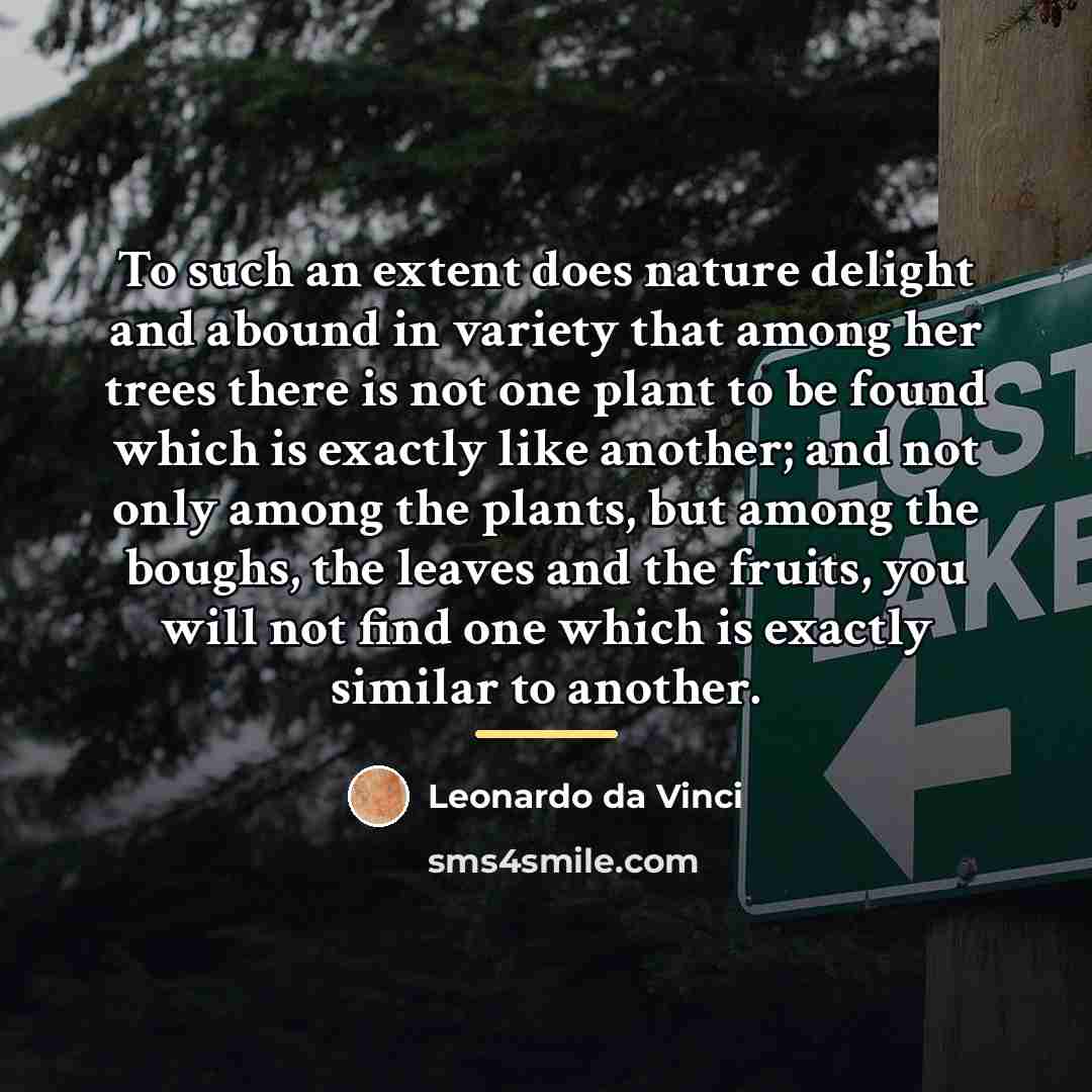 “To such an extent does nature delight and abound in…” quote by Leonardo da Vinci