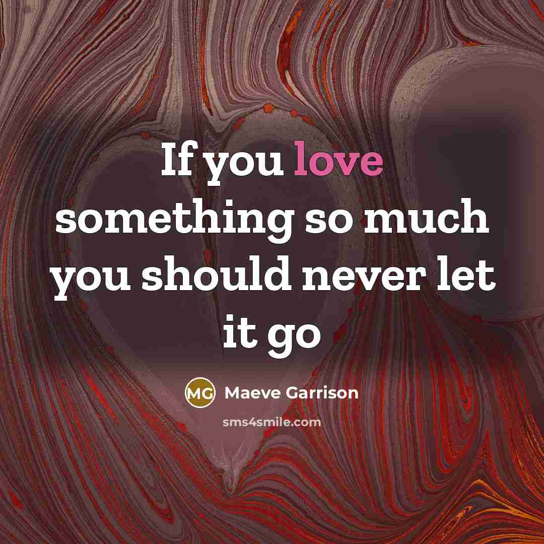 “If you love something so much you should never let…” quote by Maeve Garrison