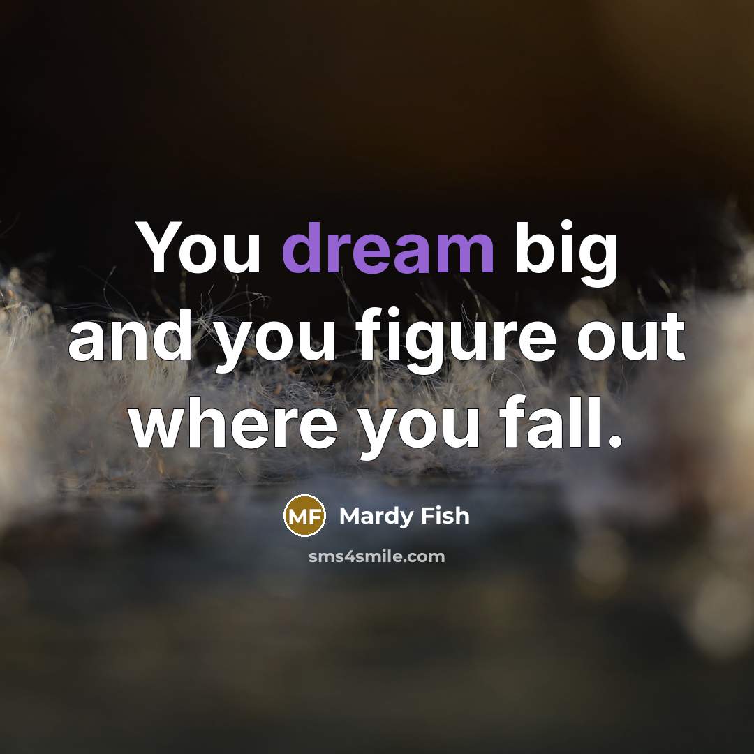 “You dream big and you figure out where you fall.…” quote by Mardy Fish