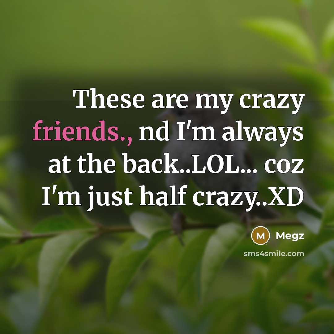 “These are my crazy friends., nd I'm always at the back..LOL... coz I'm just half crazy..XD” quote by Megz