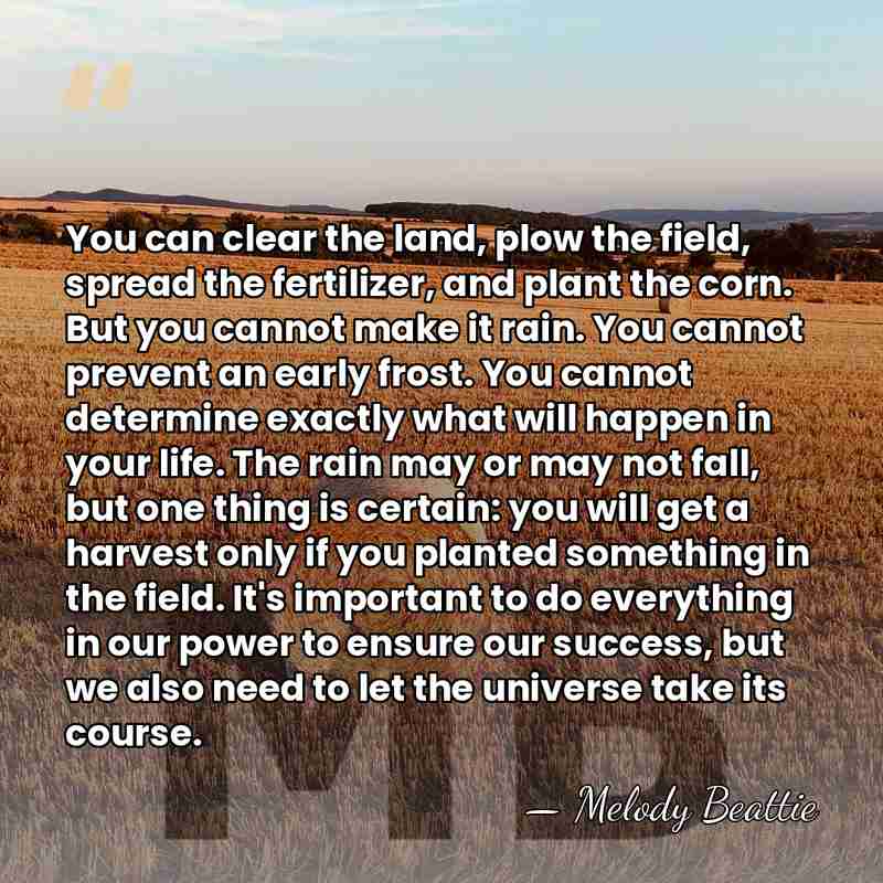 You can clear the land, plow the field, spread the fertilizer, and&hellip; - Melody Beattie