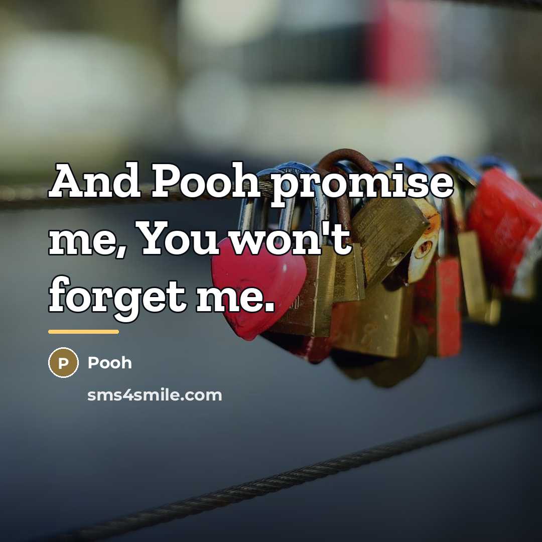 “And Pooh promise me, You won't forget me.…” quote by Pooh