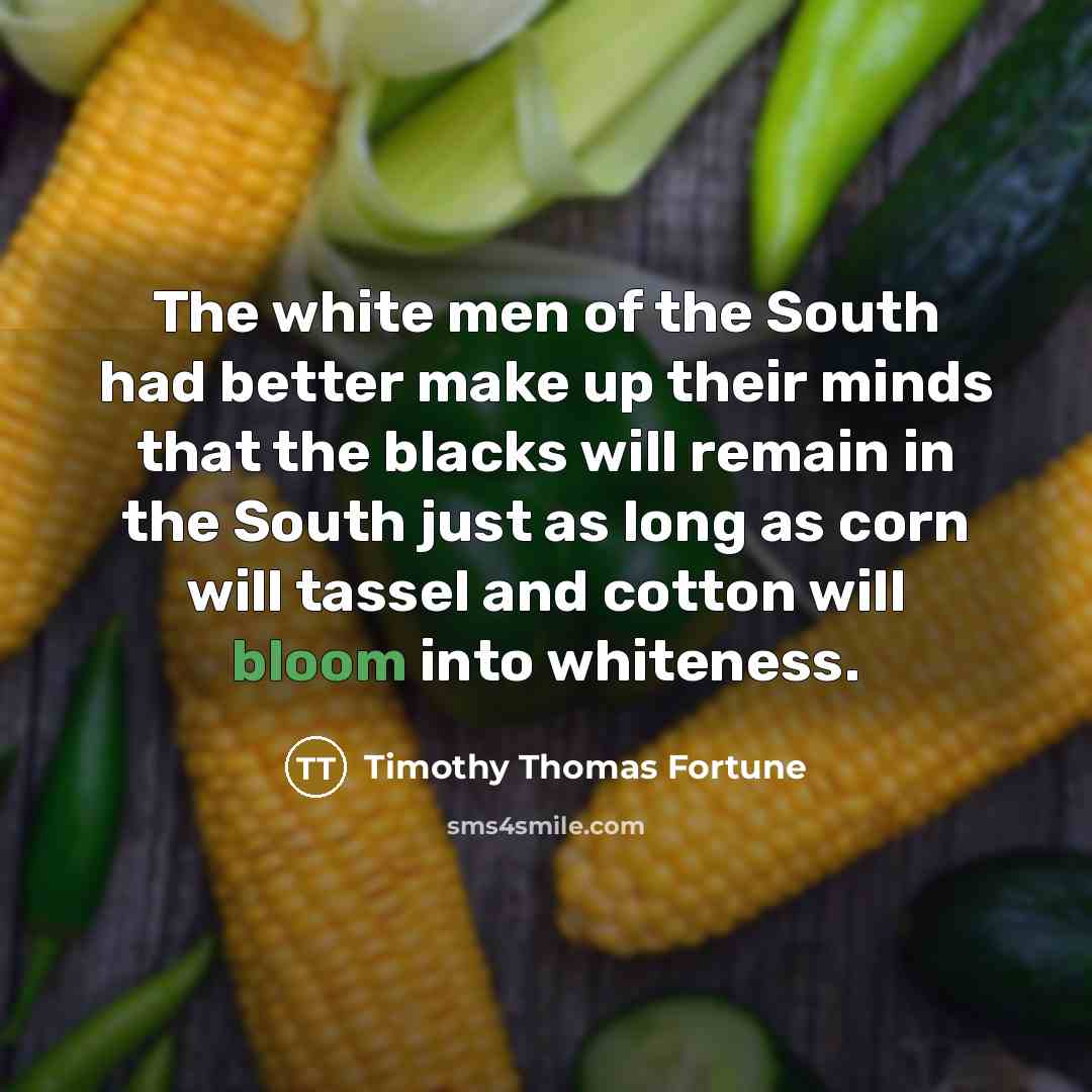 “The white men of the South had better make up…” quote by Timothy Thomas Fortune