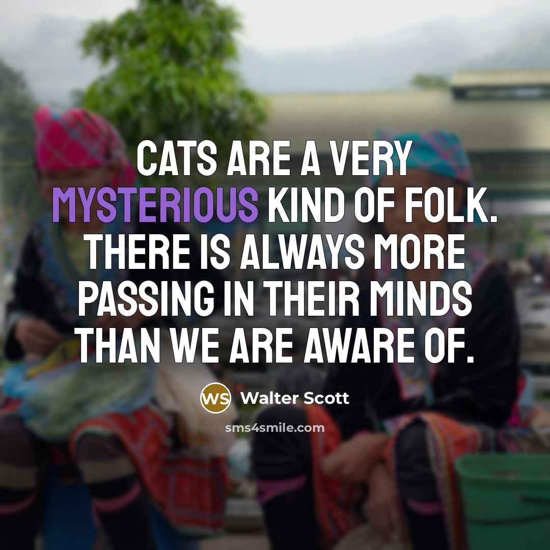 “Cats are a very mysterious kind of folk. There is…” quote by Walter Scott