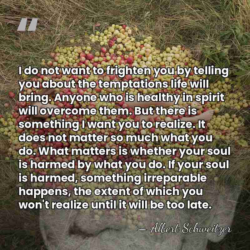 I do not want to frighten you by telling you about the&hellip; - Albert Schweitzer