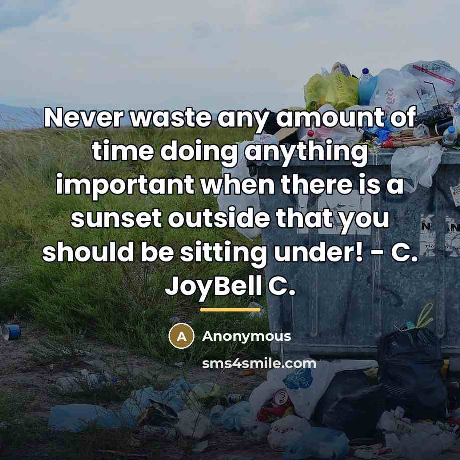 “Never waste any amount of time doing anything important when…” quote by Anonymous