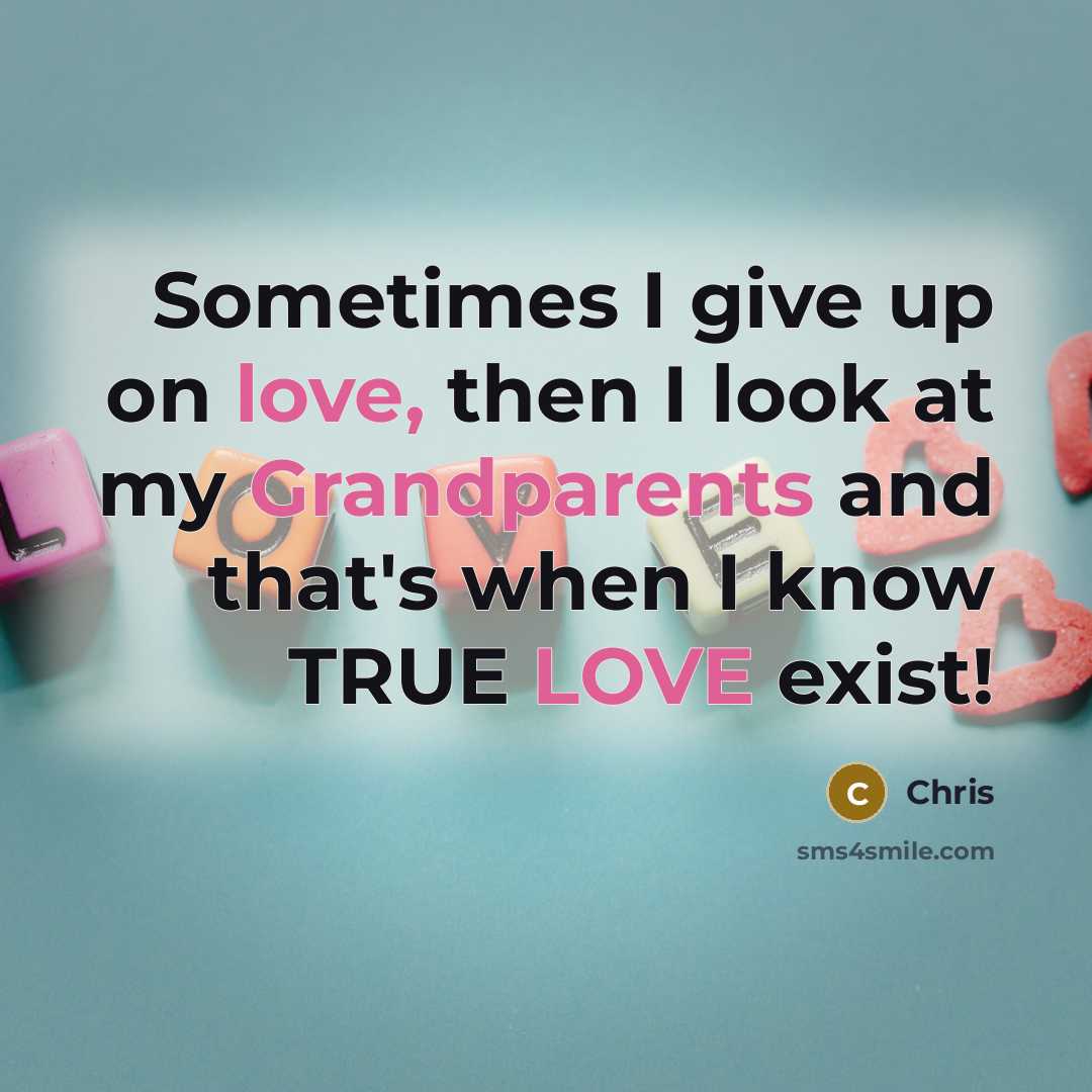 “Sometimes I give up on love, then I look at…” quote by Chris