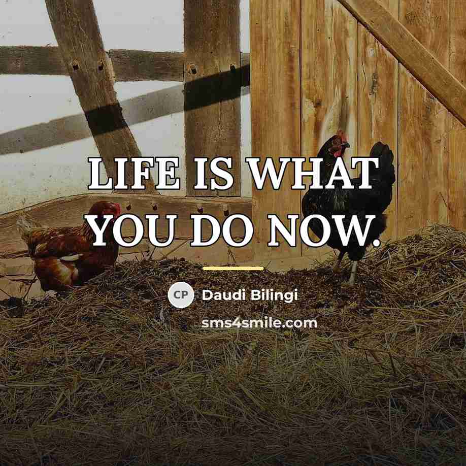 “LIFE IS WHAT YOU DO NOW.…” quote by DAUDI BILINGI