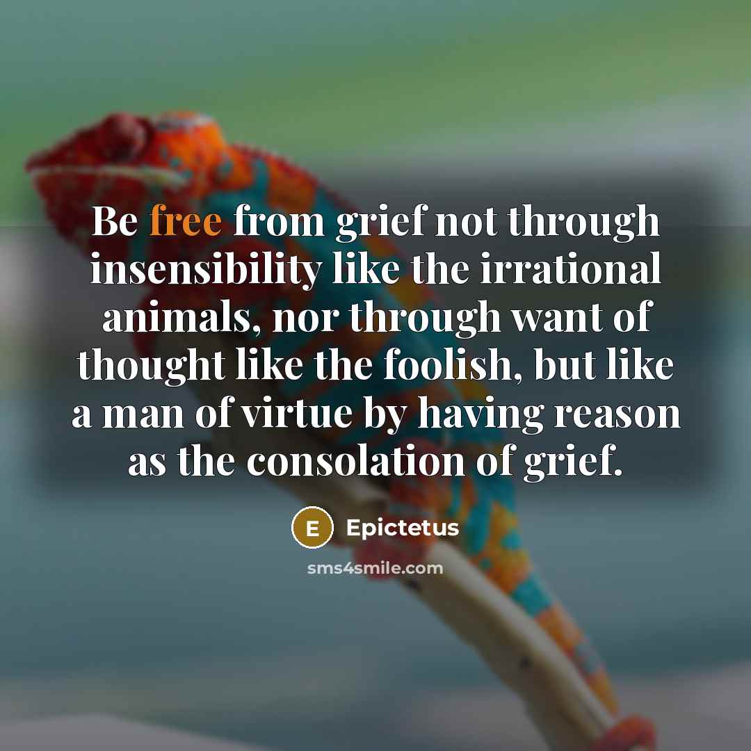 “Be free from grief not through insensibility like the irrational…” quote by Epictetus