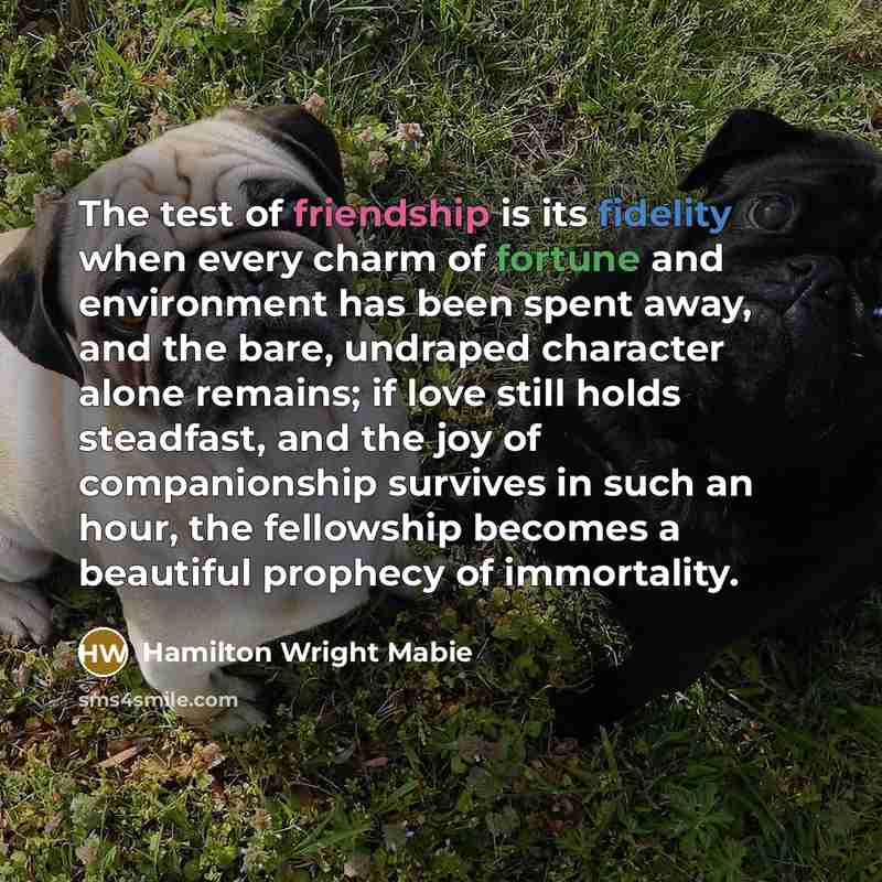 “The test of friendship is its fidelity when every charm…” quote by Hamilton Wright Mabie