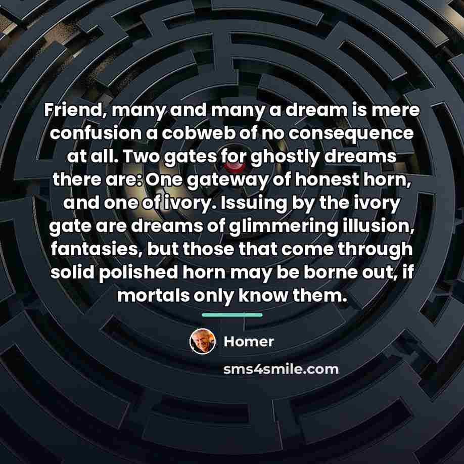 “Friend, many and many a dream is mere confusion a…” quote by Homer
