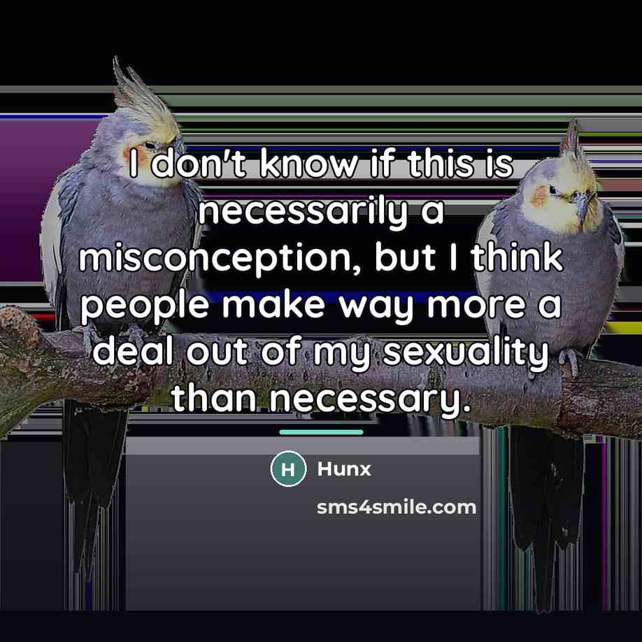 “I don't know if this is necessarily a misconception, but…” quote by Hunx