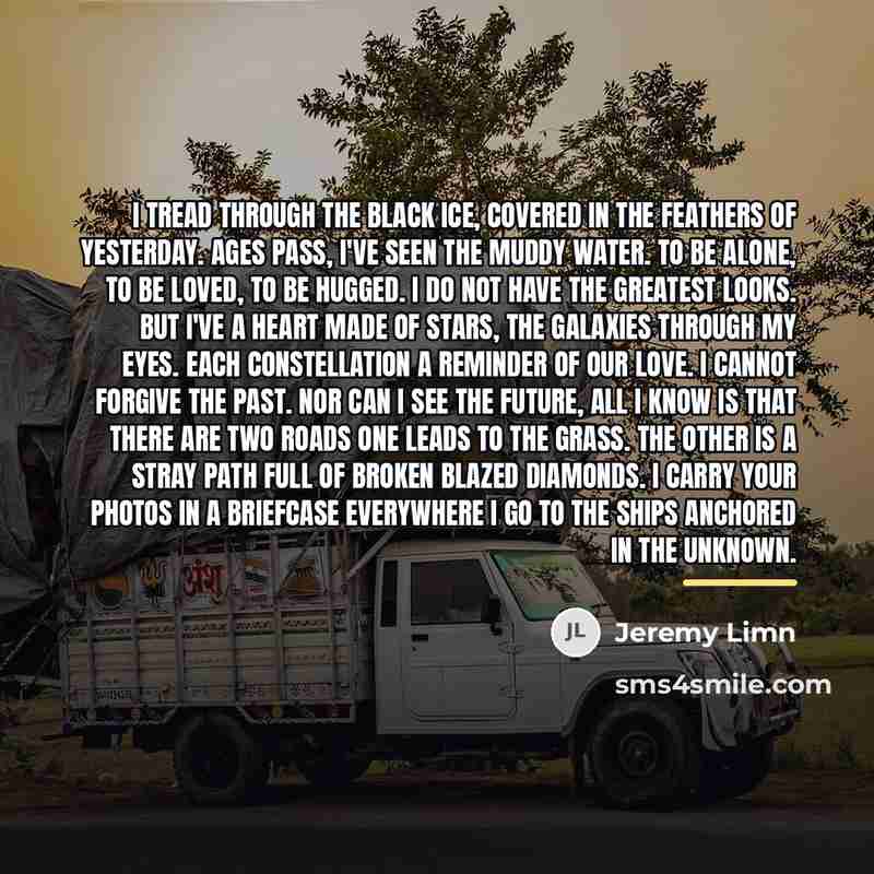 “I tread through the black ice, covered in the feathers…” quote by Jeremy Limn