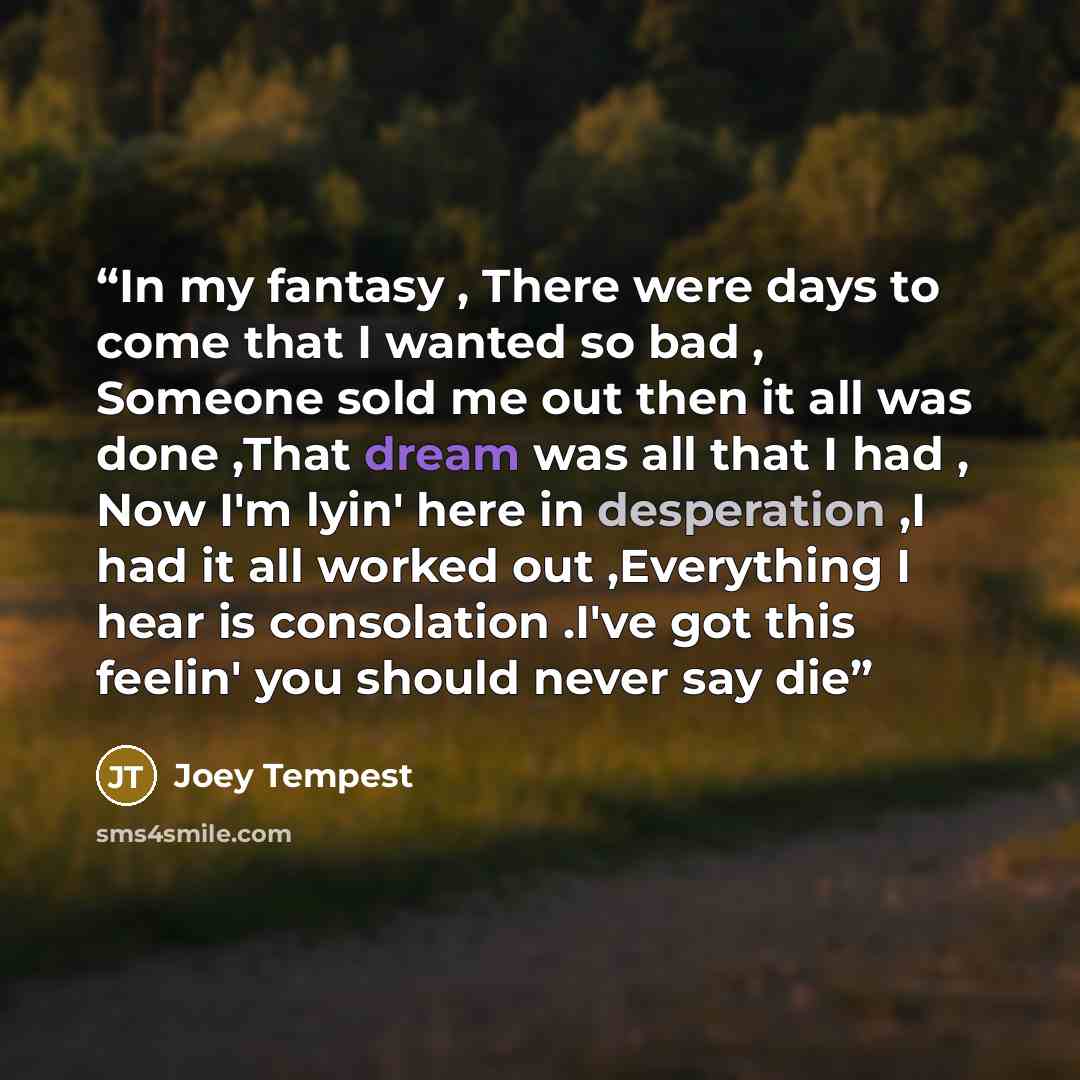“In my fantasy , There were days to come that I wanted so bad , Someone sold me out then it all was done ,That dream was all that I had , Now I'm lyin' here in desperation ,I had it all worked out ,Everything I hear is consolation .I've got this feelin' you should never say die” quote by joey tempest