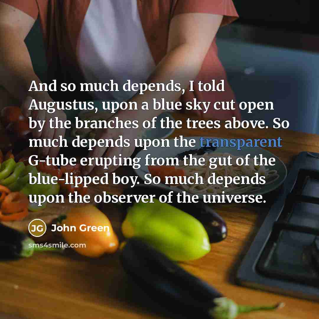 “And so much depends, I told Augustus, upon a blue…” quote by John Green