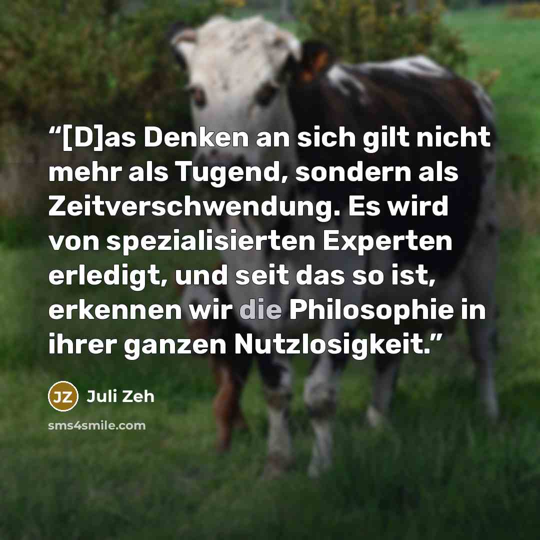 “[D]as Denken an sich gilt nicht mehr als Tugend, sondern als Zeitverschwendung. Es wird von spezialisierten Experten erledigt, und seit das so ist, erkennen wir die Philosophie in ihrer ganzen Nutzlosigkeit.” quote by Juli Zeh