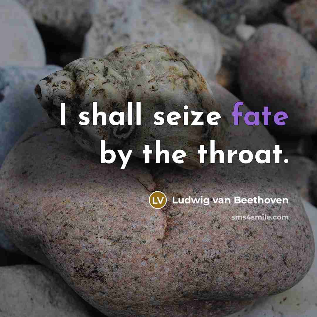 “I shall seize fate by the throat.…” quote by Ludwig van Beethoven