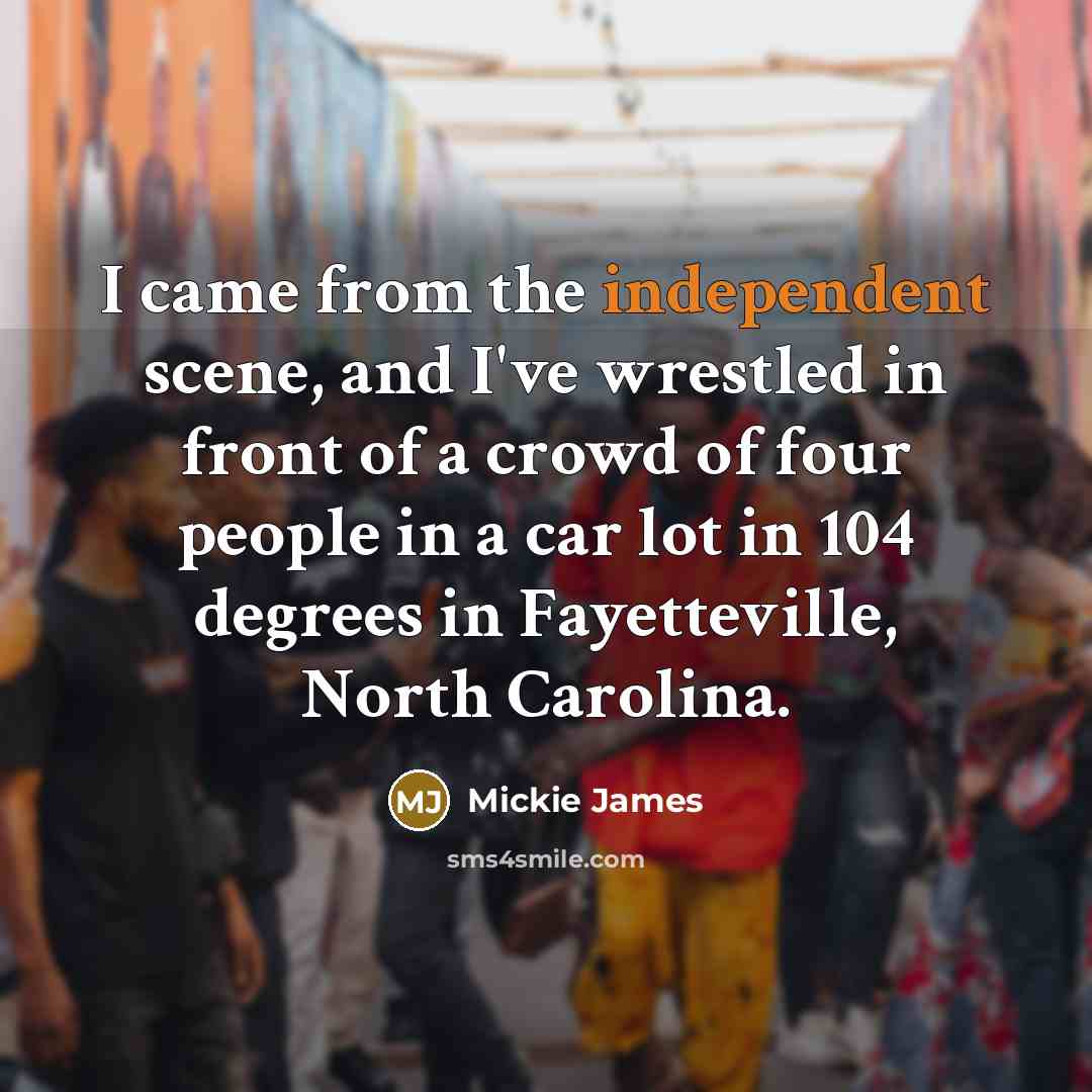 “I came from the independent scene, and I've wrestled in…” quote by Mickie James