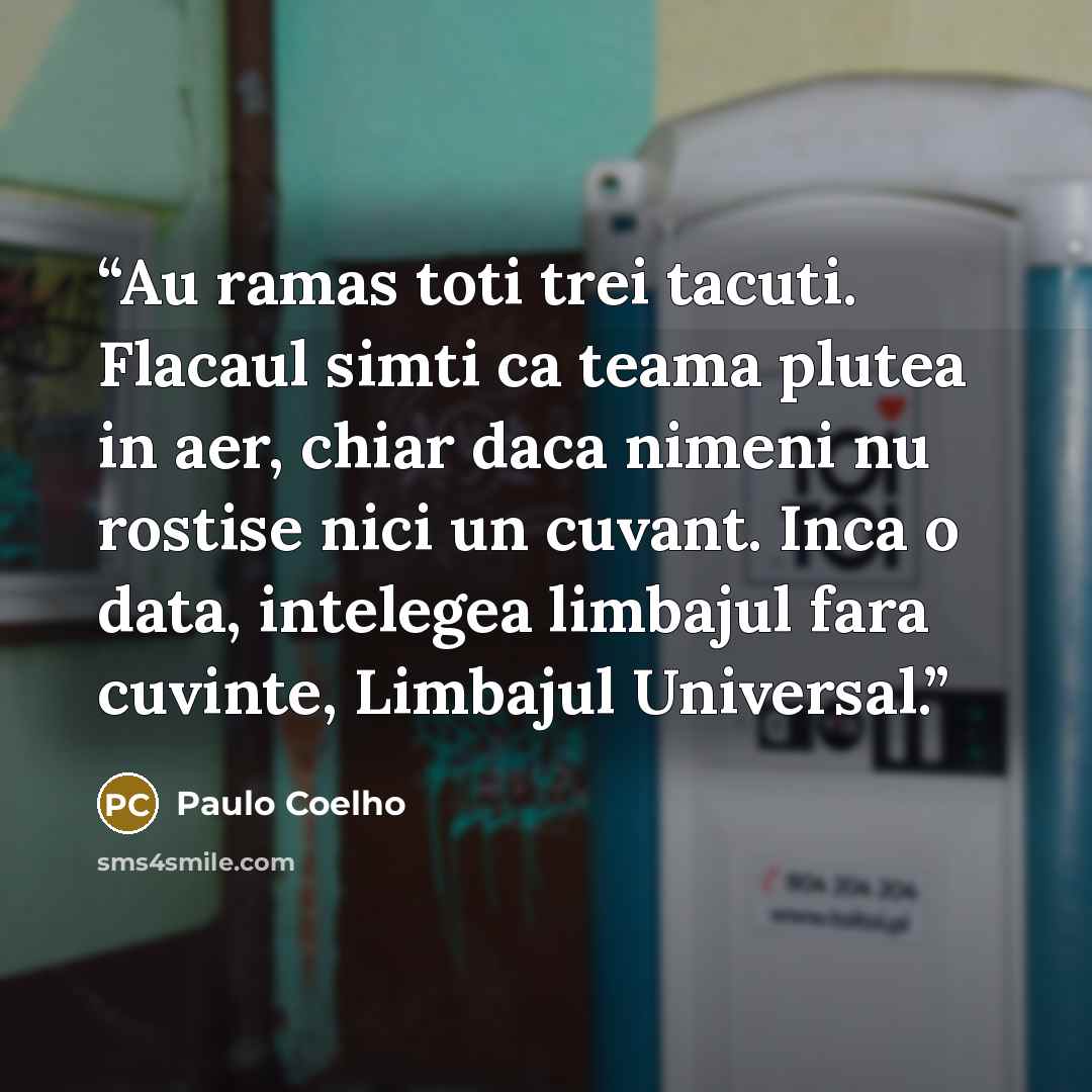 “Au ramas toti trei tacuti. Flacaul simti ca teama plutea in aer, chiar daca nimeni nu rostise nici un cuvant. Inca o data, intelegea limbajul fara cuvinte, Limbajul Universal.” quote by Paulo Coelho
