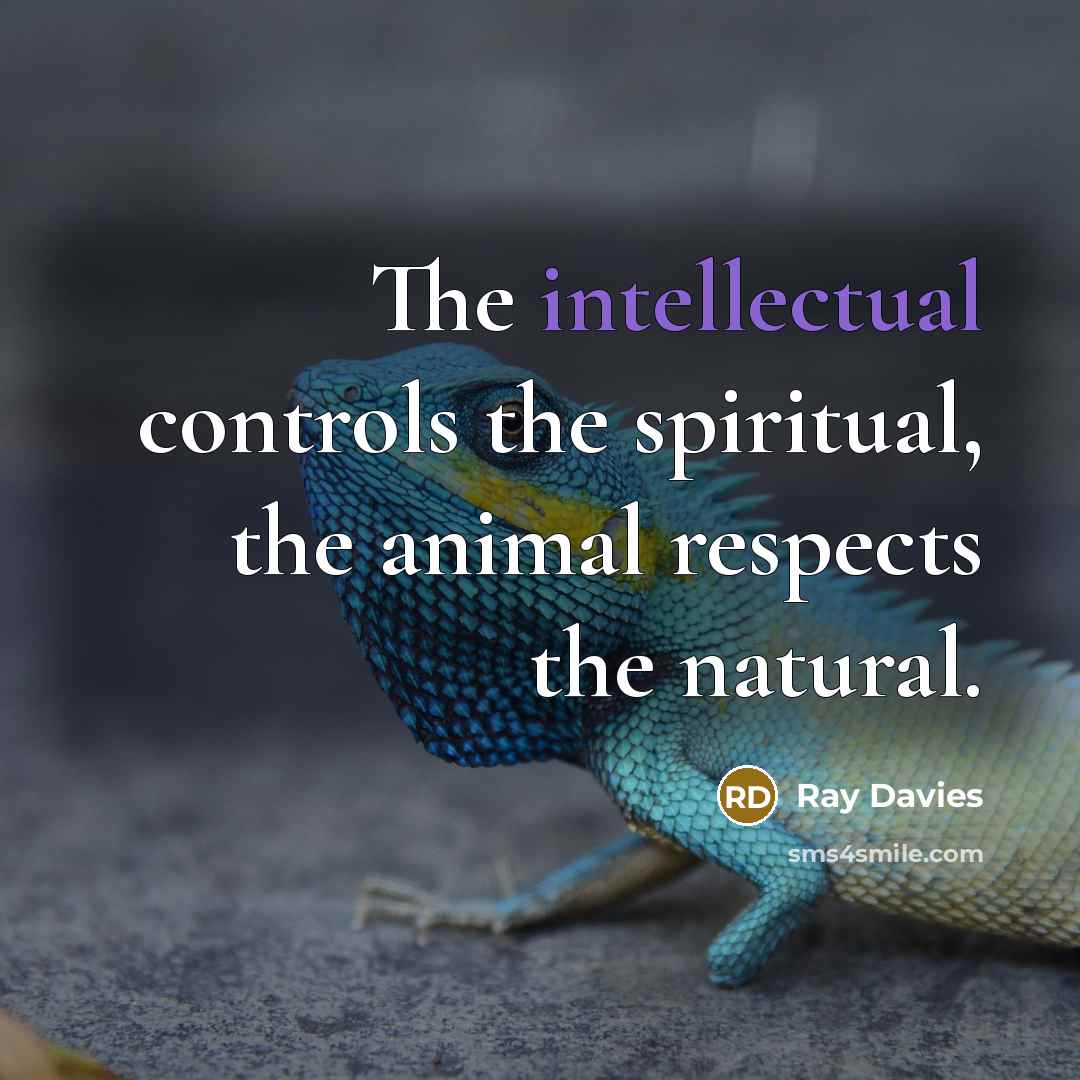 “The intellectual controls the spiritual, the animal respects the natural.…” quote by Ray Davies