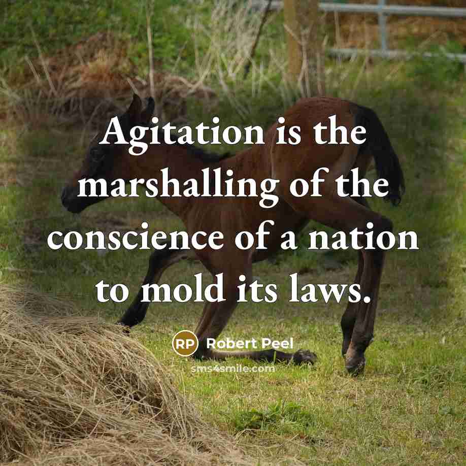 “Agitation is the marshalling of the conscience of a nation…” quote by Robert Peel