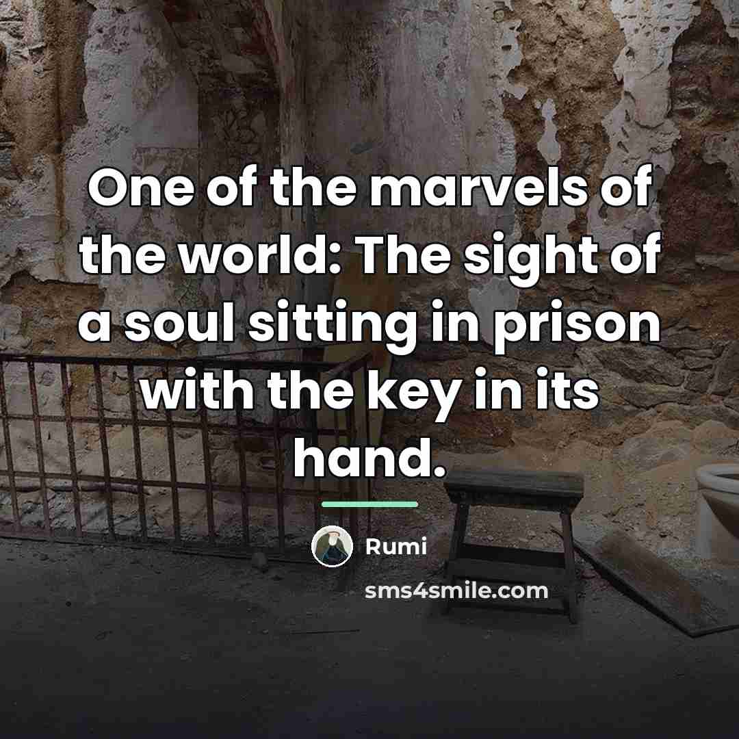 “One of the marvels of the world: The sight of…” quote by Rumi