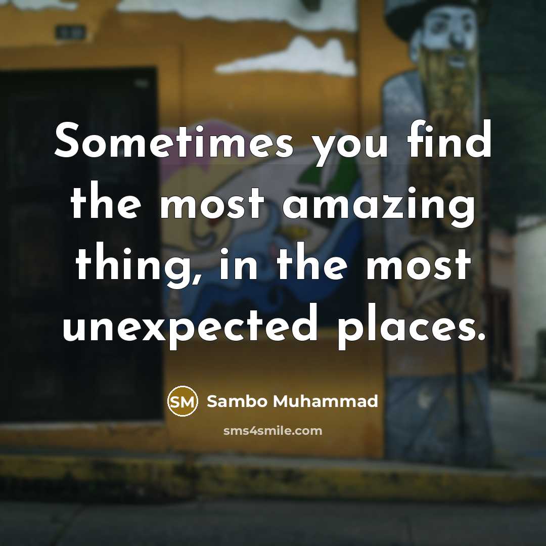 “Sometimes you find the most amazing thing, in the most…” quote by Sambo Muhammad