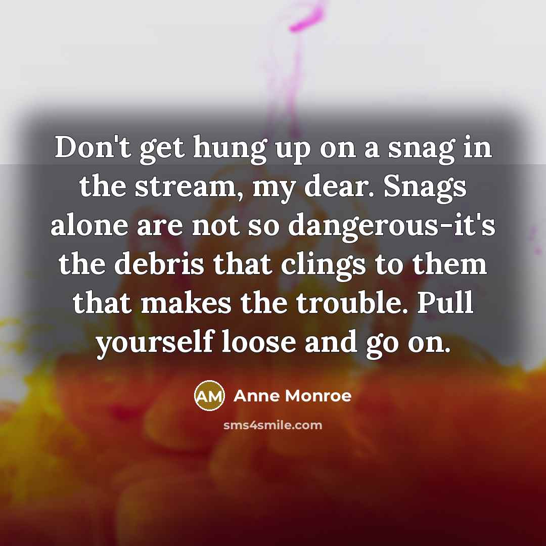 “Don't get hung up on a snag in the stream,…” quote by Anne Monroe