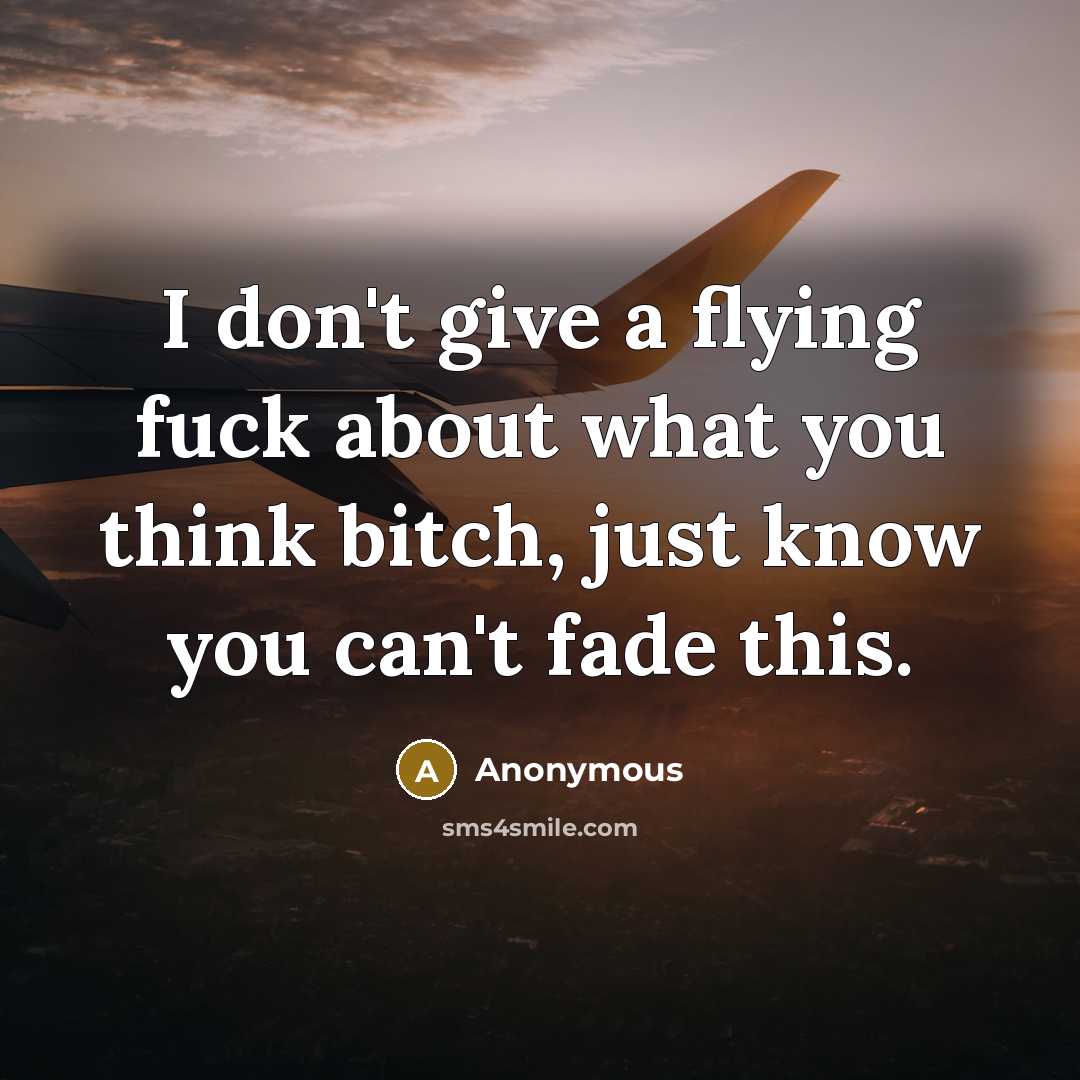 “I don't give a flying fuck about what you think…” quote by Anonymous