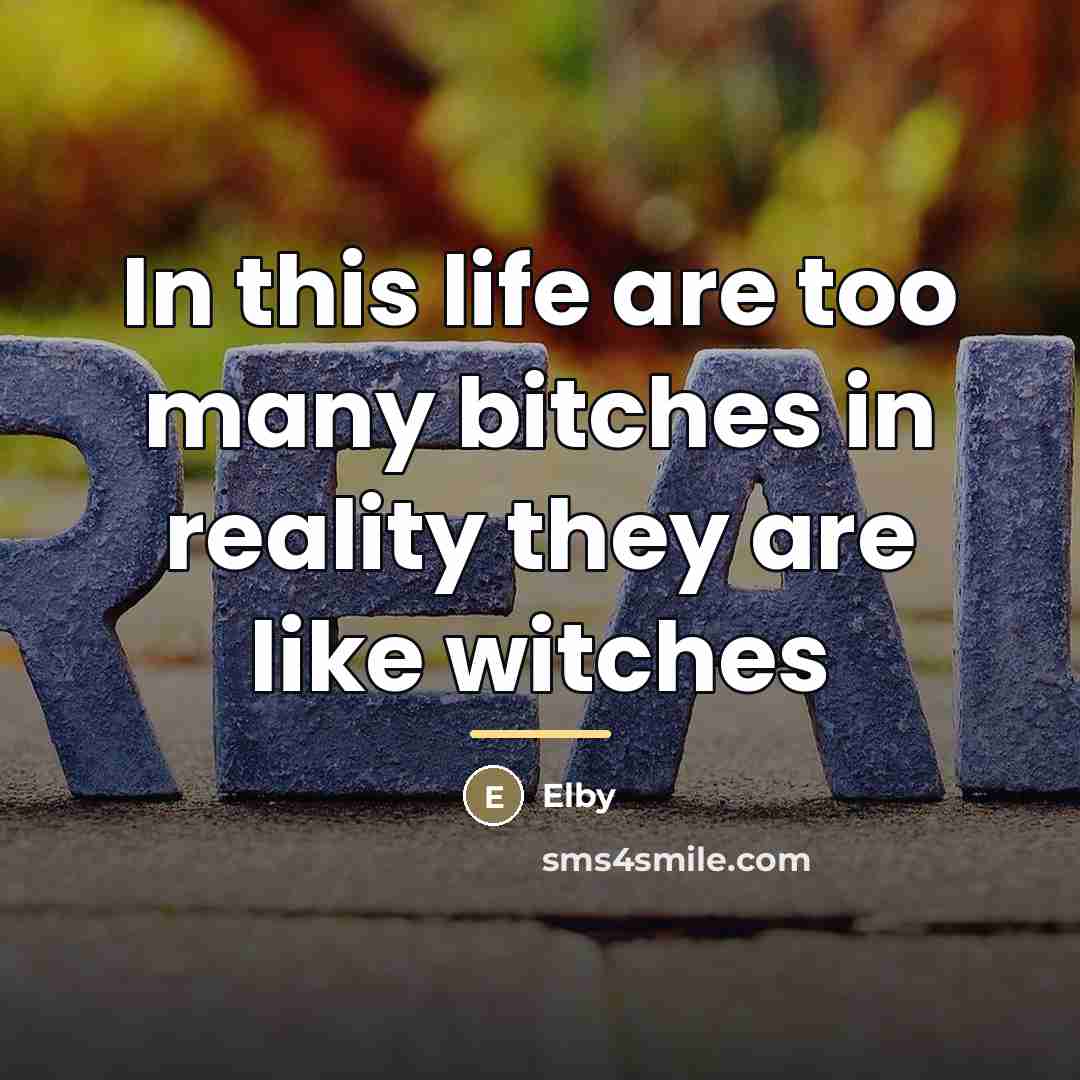 “In this life are too many bitches in reality they…” quote by Elby