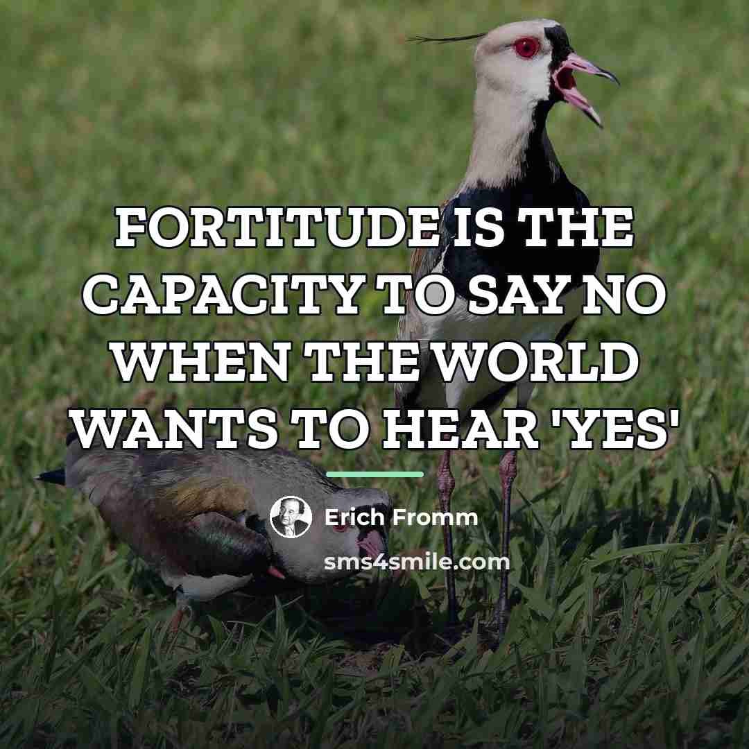 “FORTITUDE IS THE CAPACITY TO SAY NO WHEN THE WORLD…” quote by Erich Fromm