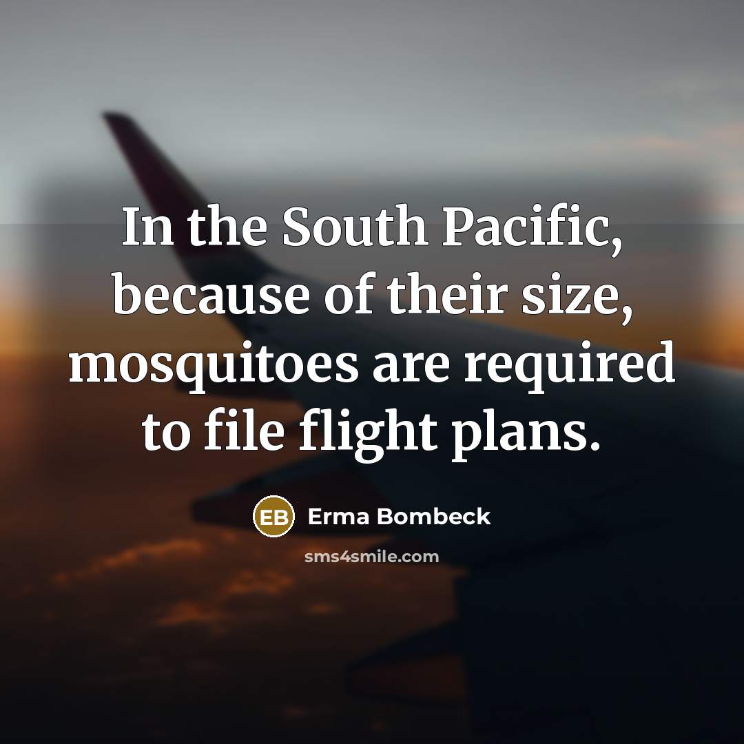 “In the South Pacific, because of their size, mosquitoes are…” quote by Erma Bombeck