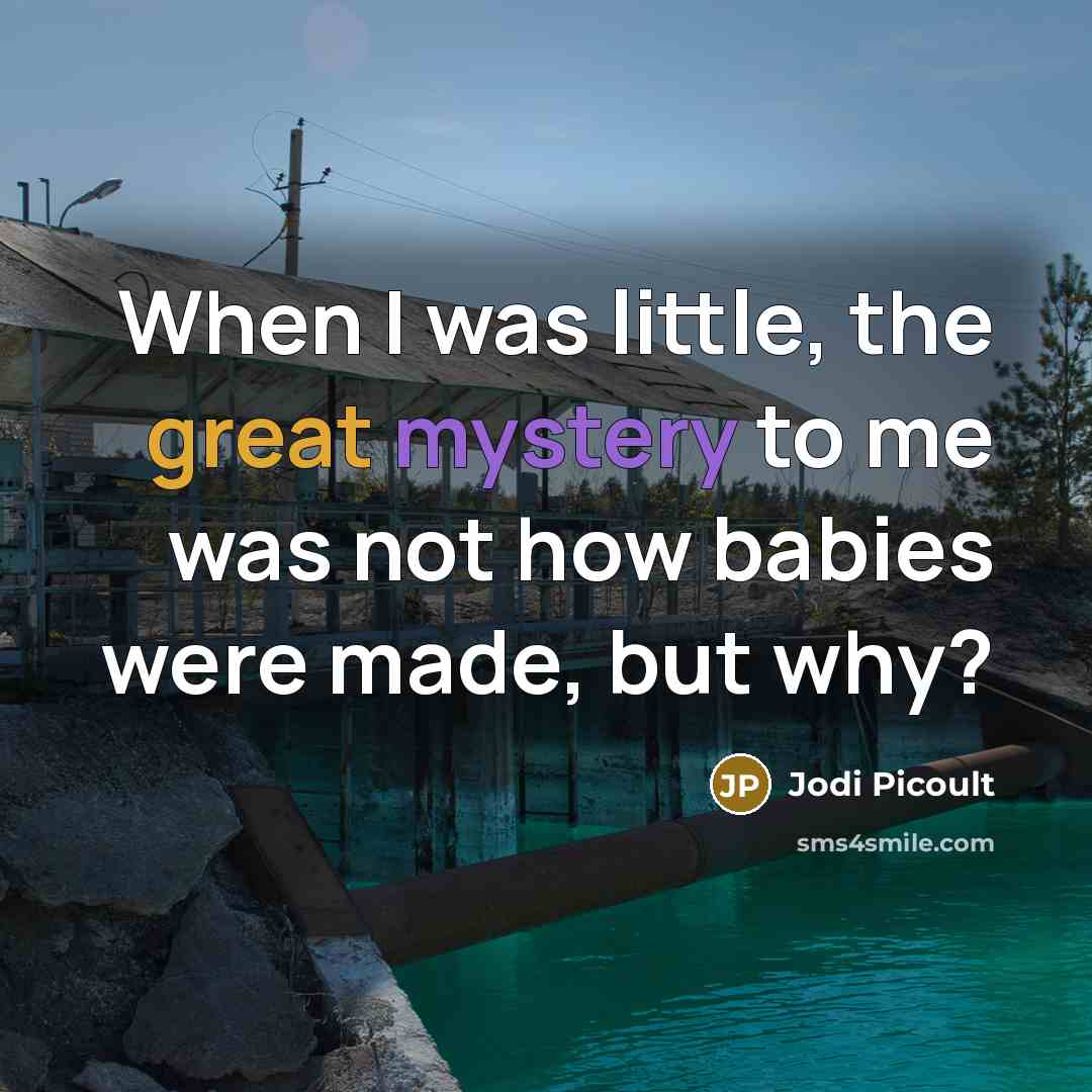 “When I was little, the great mystery to me was not how babies were made, but why?” quote by Jodi Picoult