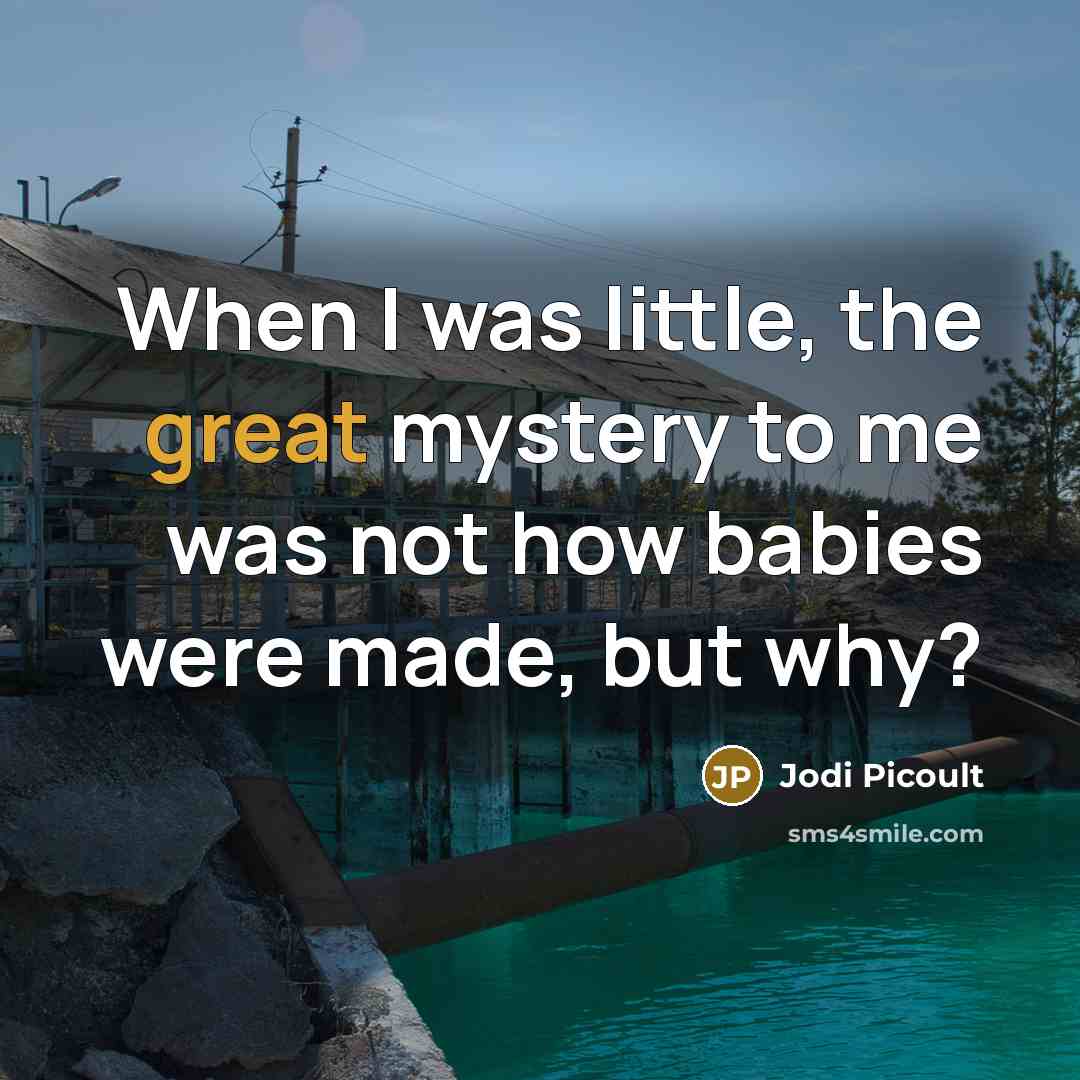 “When I was little, the great mystery to me was…” quote by Jodi Picoult