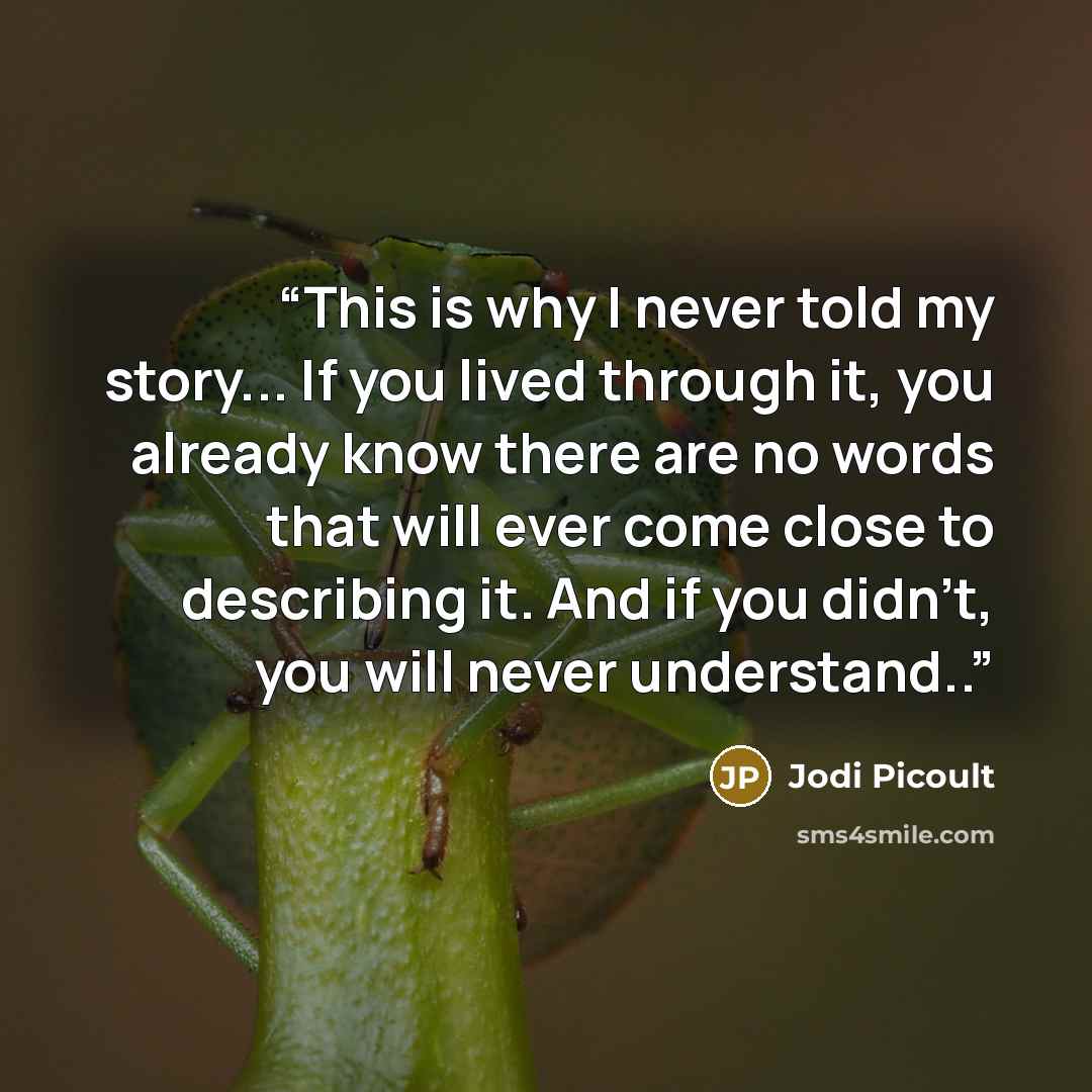 “This is why I never told my story... If you lived through it, you already know there are no words that will ever come close to describing it. And if you didn’t, you will never understand..” quote by Jodi Picoult