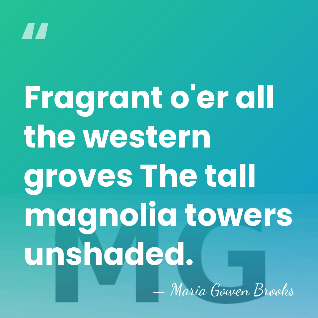 Fragrant o'er all the western groves The tall magnolia towers unshaded. - Maria Gowen Brooks