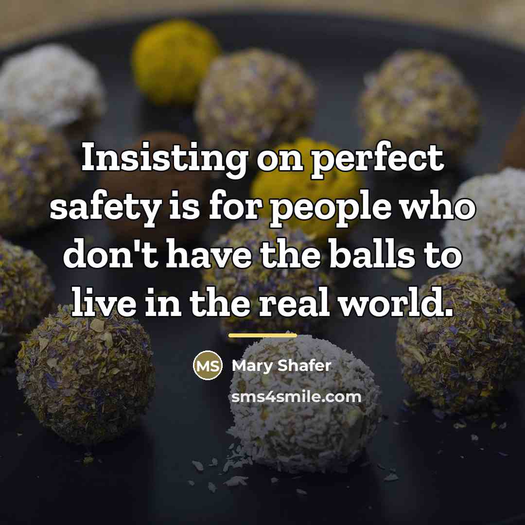 “Insisting on perfect safety is for people who don't have…” quote by Mary Shafer