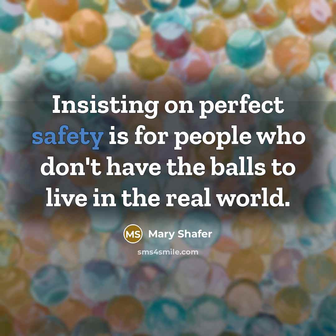 “Insisting on perfect safety is for people who don't have the balls to live in the real world.” quote by Mary Shafer