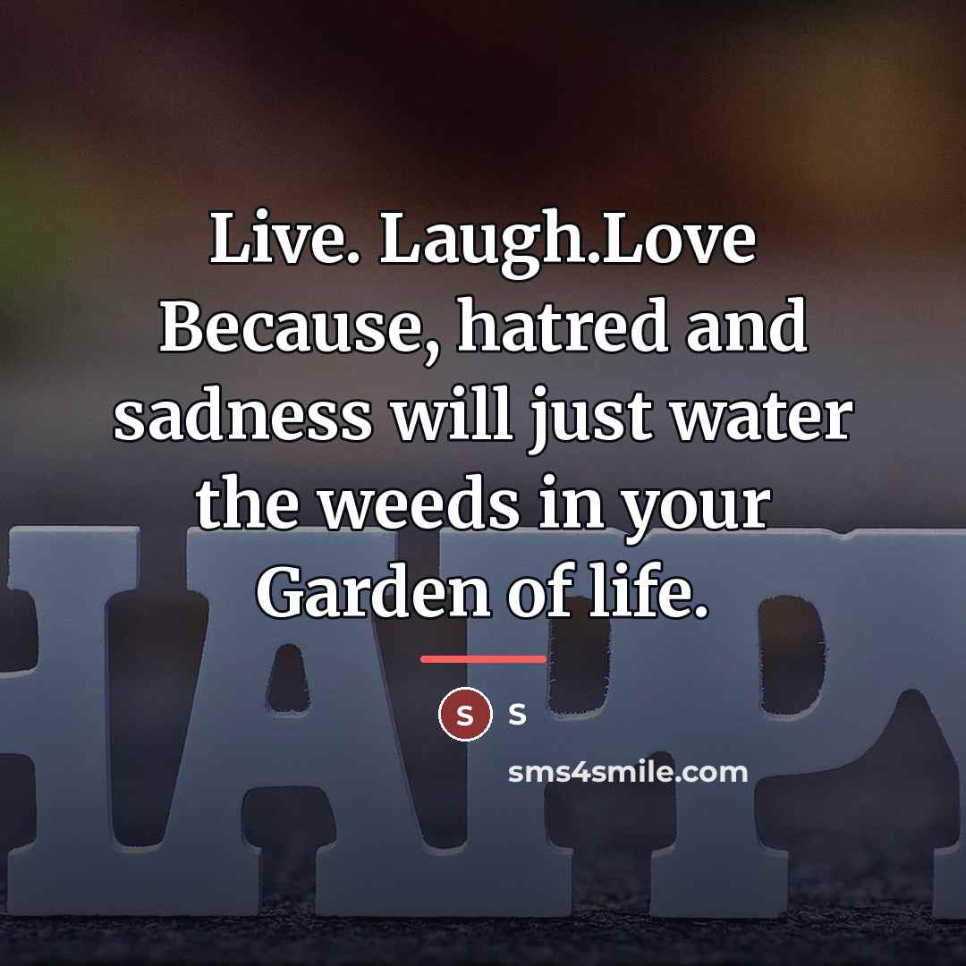 “Live. Laugh.Love Because, hatred and sadness will just water the…” quote by S