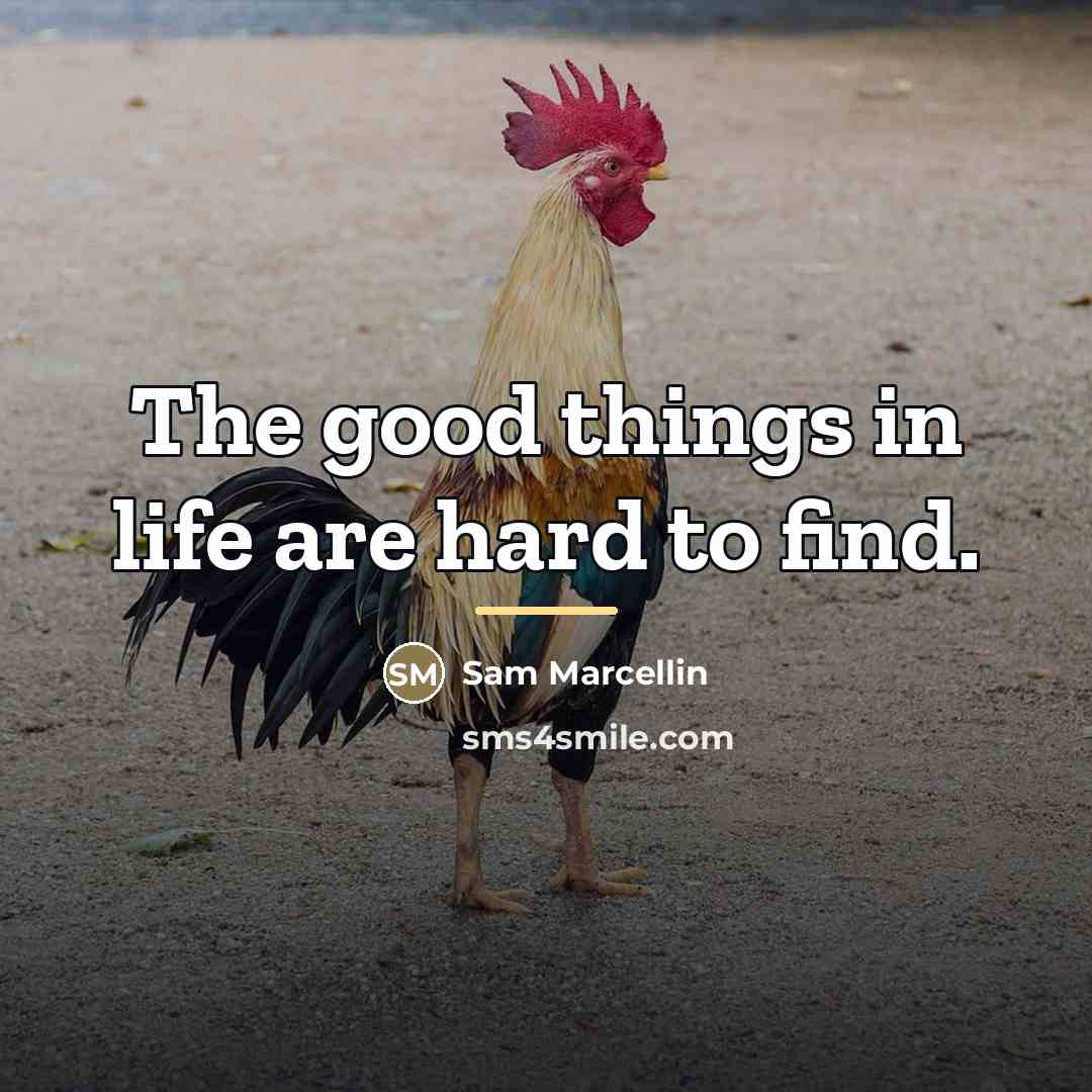 “The good things in life are hard to find.…” quote by Sam Marcellin
