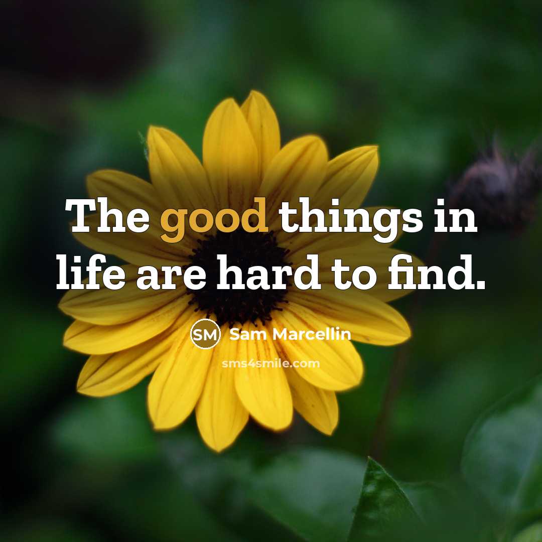 “The good things in life are hard to find.” quote by Sam Marcellin