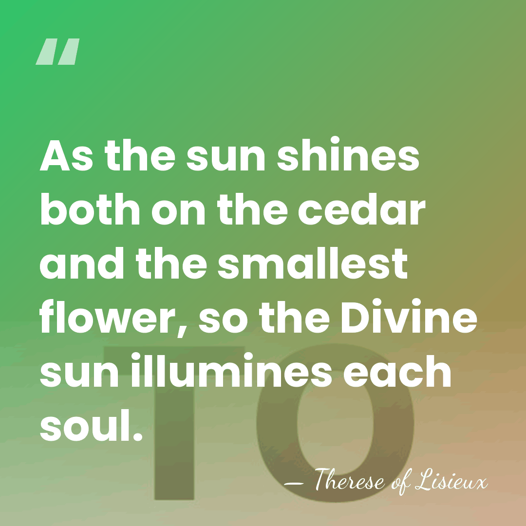 As the sun shines both on the cedar and the smallest flower,&hellip; - Therese of Lisieux